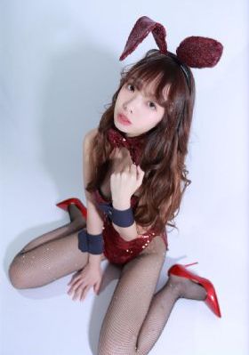 熊出没之猎鹰熊岛