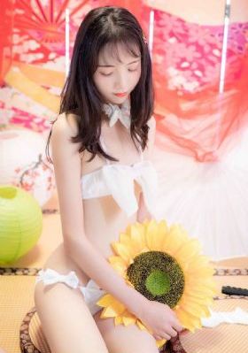 廉政行动